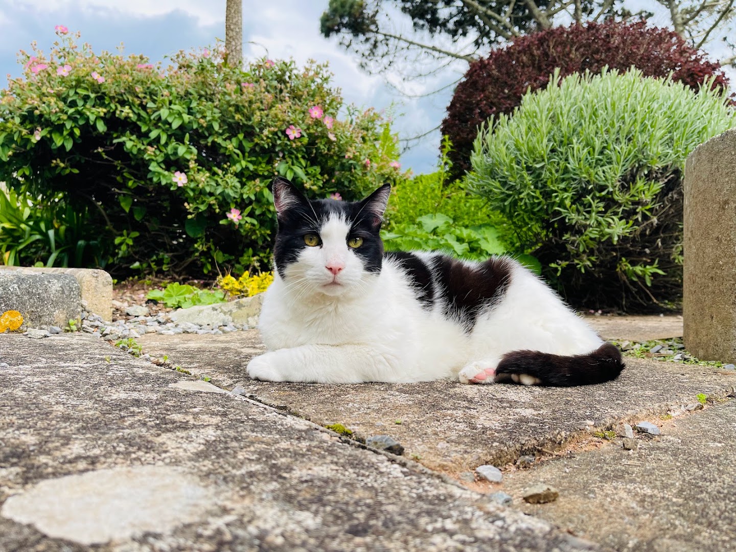 George The Handyman — Photos 3